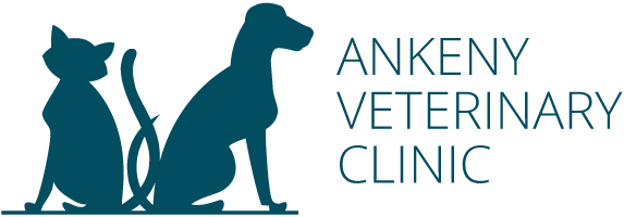 Ankeny Veterinary Clinic Home
