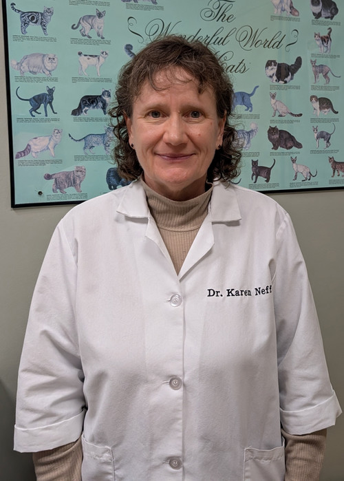 Karen Neff, DVM